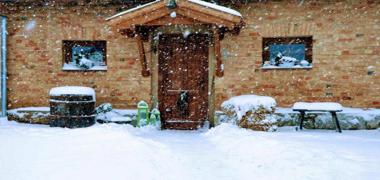 Hotel Mives Vendeghaz Pogány Exterior foto