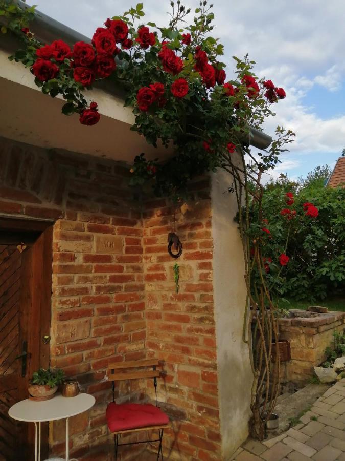 Hotel Mives Vendeghaz Pogány Exterior foto