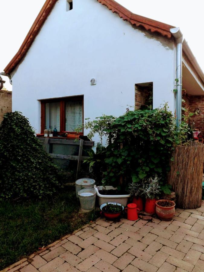 Hotel Mives Vendeghaz Pogány Exterior foto