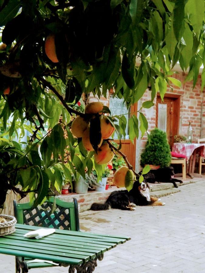 Hotel Mives Vendeghaz Pogány Exterior foto